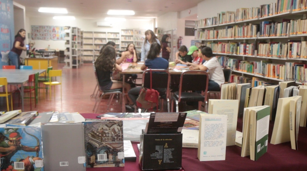 Invita DIF Municipal a sumarse a la campaña de donación de libros - El ...